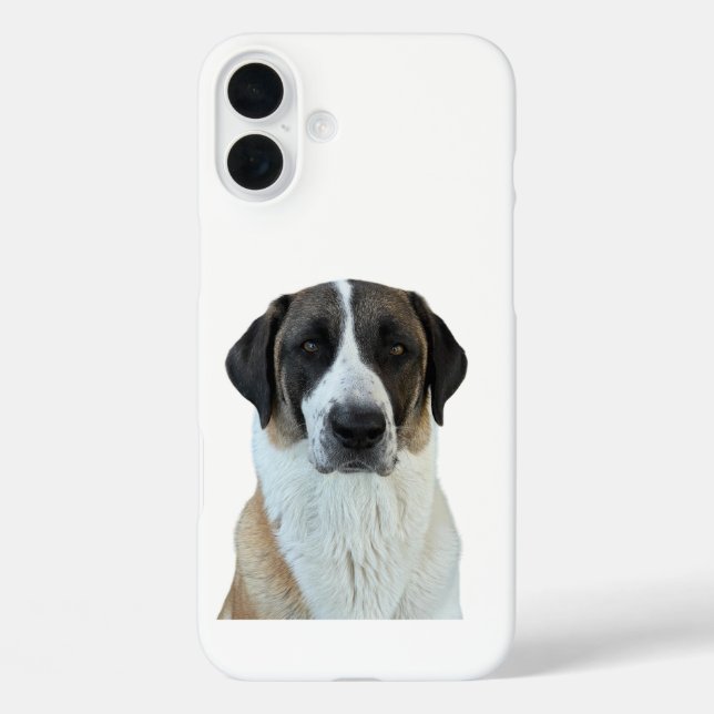 Funda iPhone 16 Plus Estuche Anatolian Shepherd para iPhone/iPad (Reverso )