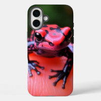Estuche Artsy Frog Phone