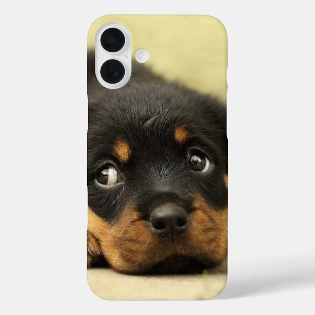 Funda iPhone 16 Plus Estuche de teléfono de cachorro (Reverso )