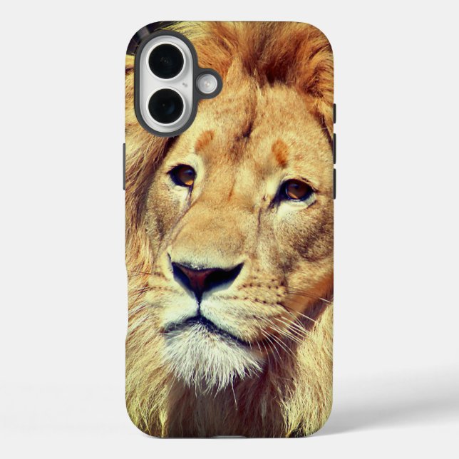 Funda iPhone 16 Plus Estuche de teléfono de león (Reverso )