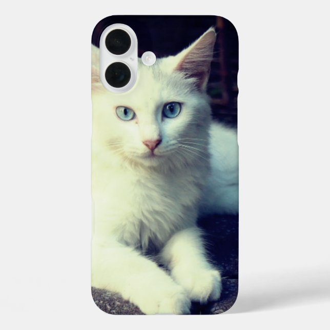Funda iPhone 16 Plus Estuche de teléfono para gato (Reverso )