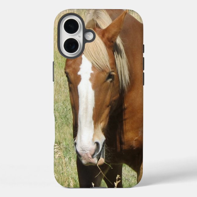Funda iPhone 16 Plus Estuche para teléfono de caballo (Reverso )