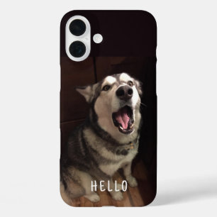 Funda iPhone 16 Plus Fotografía de Alaskan Malamute con la Boca Abierta