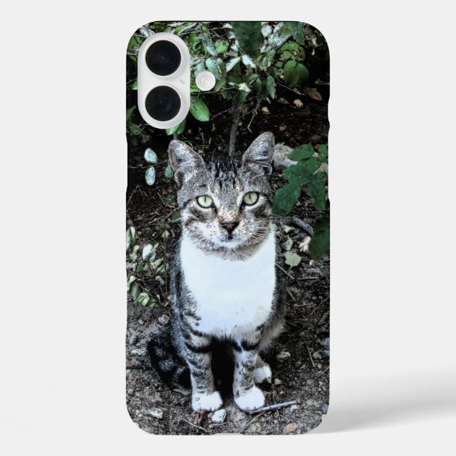 FUNDA iPhone 16 PLUS GATO TURCO NEGRO Y BLANCO RONIN (Reverso )