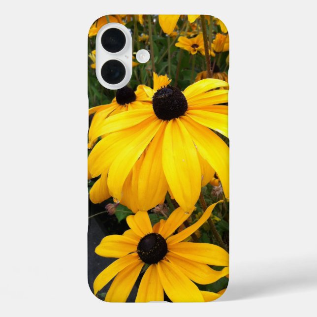 Funda iPhone 16 Plus Golden Rudbeckia Black Eyed Susan Flowers (Reverso )