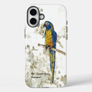 Funda iPhone 16 Plus Hermoso pájaro en peligro de extinción pintado a m