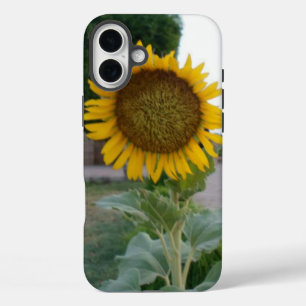 Funda iPhone 16 Plus Impresión de arte de girasol