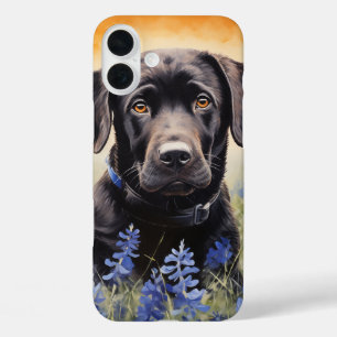 Funda iPhone 16 Plus Labrador negro en Bluebonnets