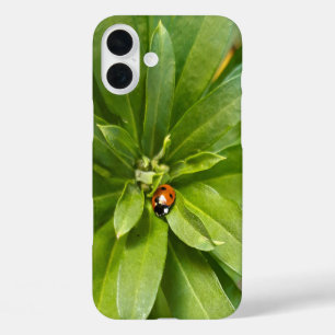 Funda iPhone 16 Plus Ladybug en Flores