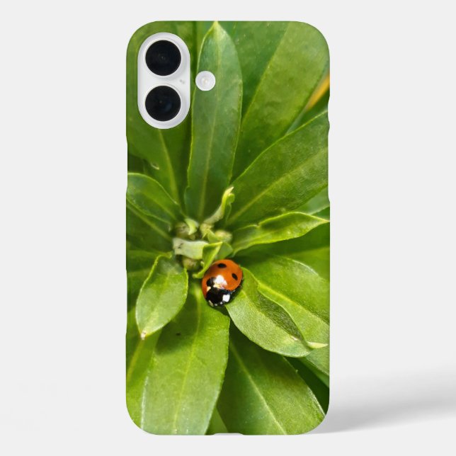 Funda iPhone 16 Plus Ladybug en Flores (Reverso )