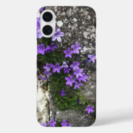 Funda iPhone 16 Plus Las flores de Campanula crecen en una pared
