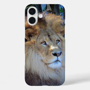 Funda iPhone 16 Plus león