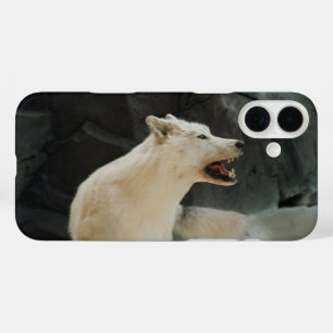 Funda iPhone 16 Plus Lobo blanco