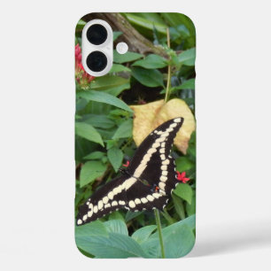 Funda iPhone 16 Plus Monarca y flores amarillas en Florida