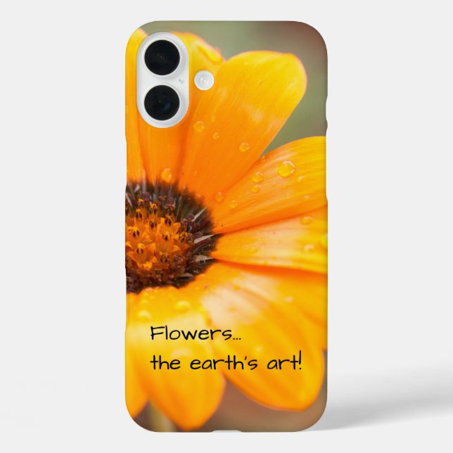 Funda iPhone 16 Plus Naranja Primavera Flash African Daisy Photograph (Reverso )