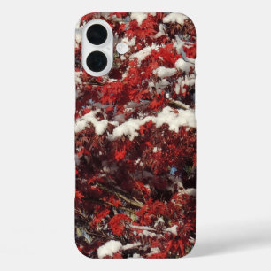 Funda iPhone 16 Plus Nieve brillante negra y blanca
