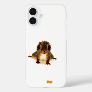 Funda iPhone 16 Plus Nosy linda nieve de ardilla roja blanca