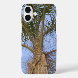 Funda iPhone 16 Plus Palmera bonita en primer plano