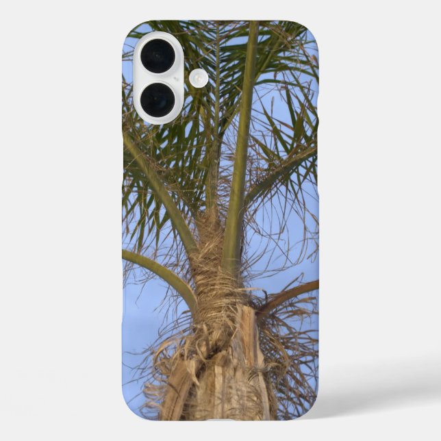 Funda iPhone 16 Plus Palmera bonita en primer plano (Reverso )