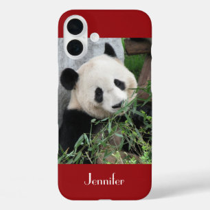Funda iPhone 16 Plus Panda gigante abrazable, rojo oscuro, nombre