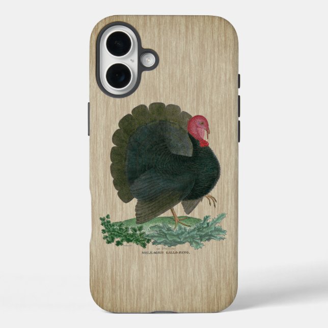 Funda iPhone 16 Plus Pavo clásico (Reverso )