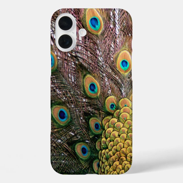 Funda iPhone 16 Plus Peacock Feathers Emerald Green y Gold (Reverso )