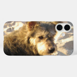 Funda iPhone 16 Plus Perro de playa tailandés