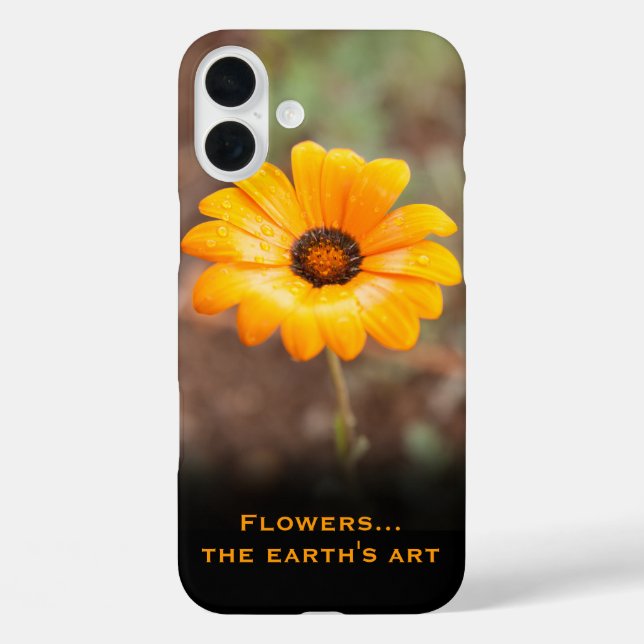 Funda iPhone 16 Plus Personalizado de fotografía de naranja Spring Flas (Reverso )