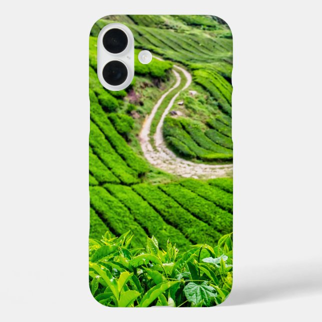 Funda iPhone 16 Plus Plantación de Té de Cameron Highlands (Reverso )