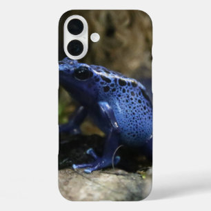 Funda iPhone 16 Plus Rana de flecha de veneno azul