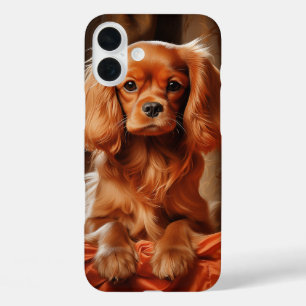 Funda iPhone 16 Plus Ruby Cavalier King Charles Spaniel