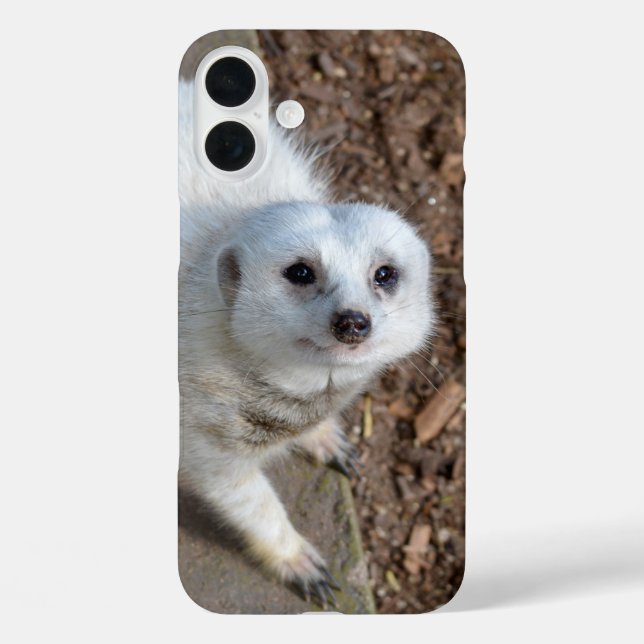 Funda iPhone 16 Plus Snow White Meerkat, (Reverso )