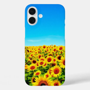 Funda iPhone 16 Plus Sunflower Field