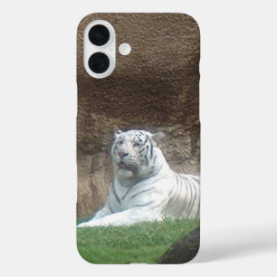 Funda iPhone 16 Plus Tigre Blanco