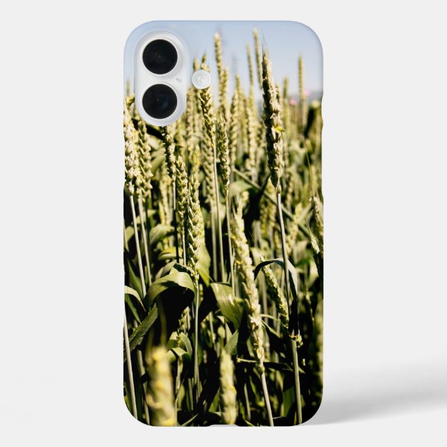 Funda iPhone 16 Plus Trigo (Reverso )
