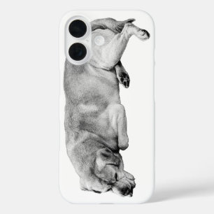 Funda iPhone 16 Pocket Poise