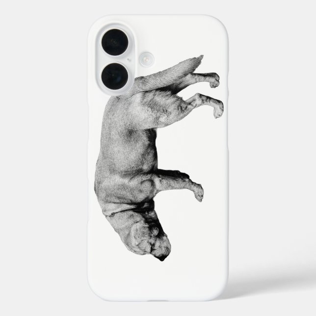 Funda iPhone 16 Pocket Scout (Reverso )