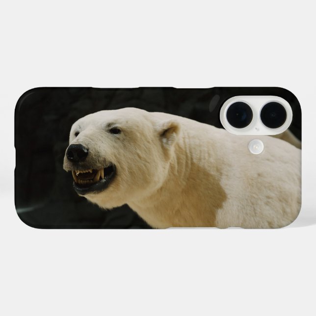 Funda iPhone 16 Polar Bear Grin (Reverso (Horizontal))