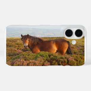 Funda iPhone 16 poni de Exmoor, caballo, Somerset, Inglaterra