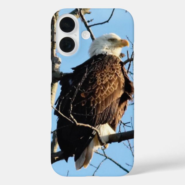 Funda iPhone 16 Pose de águila calva (Reverso )