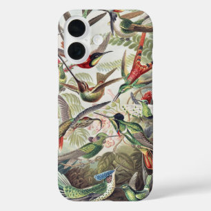 Funda iPhone 16 Póster Vintage de Colibrí Colorido de Ernst Haecke