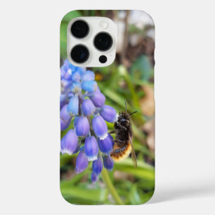 Funda iPhone 16 Pro Abeja en Muscari Armeniacum , Hiacinato de uva