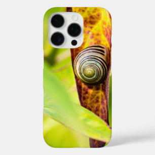 Funda iPhone 16 Pro apego