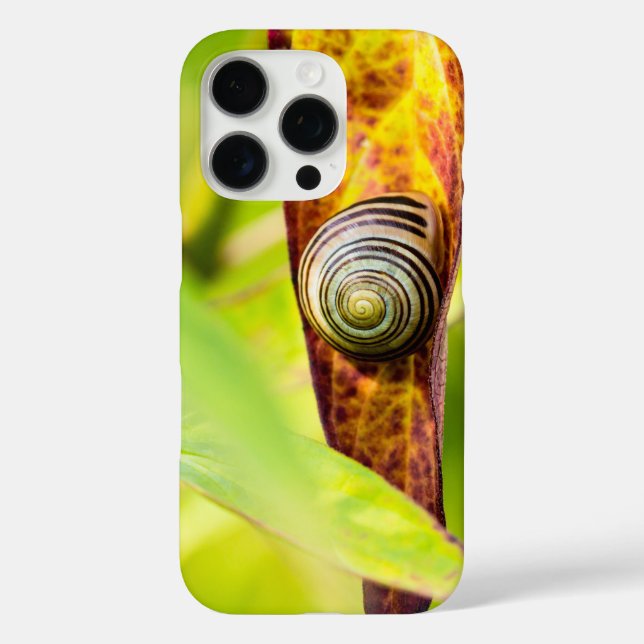 Funda iPhone 16 Pro apego (Reverso )