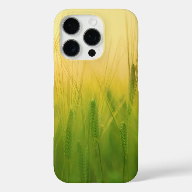 Funda iPhone 16 Pro Campo de trigo verde con cielo seco (Reverso )