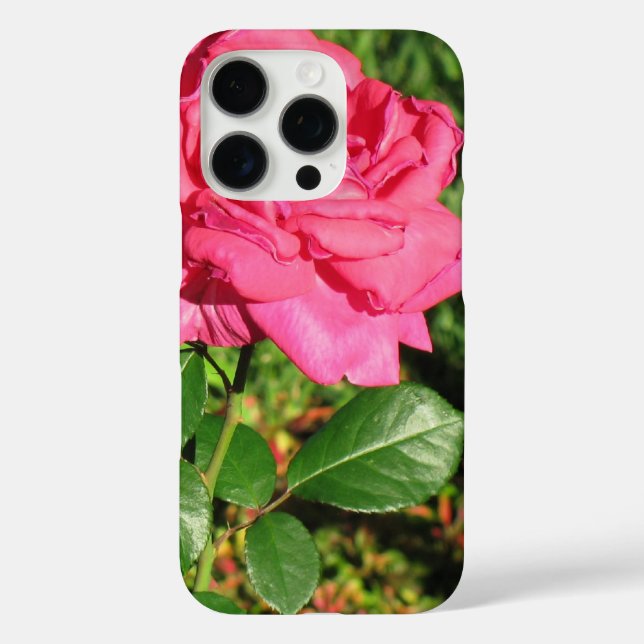 Funda iPhone 16 Pro Casos de teléfono Rosa rosa (Reverso )