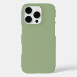 Funda iPhone 16 Pro Color de la plancha verde de sabio moderno
