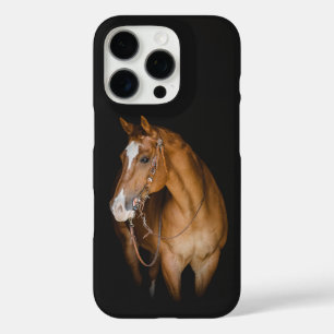 Funda iPhone 16 Pro estuche iPhone / iPad