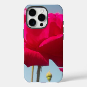 Funda iPhone 16 Pro Hermoso Rosa Celestial Rojo Contra Azul