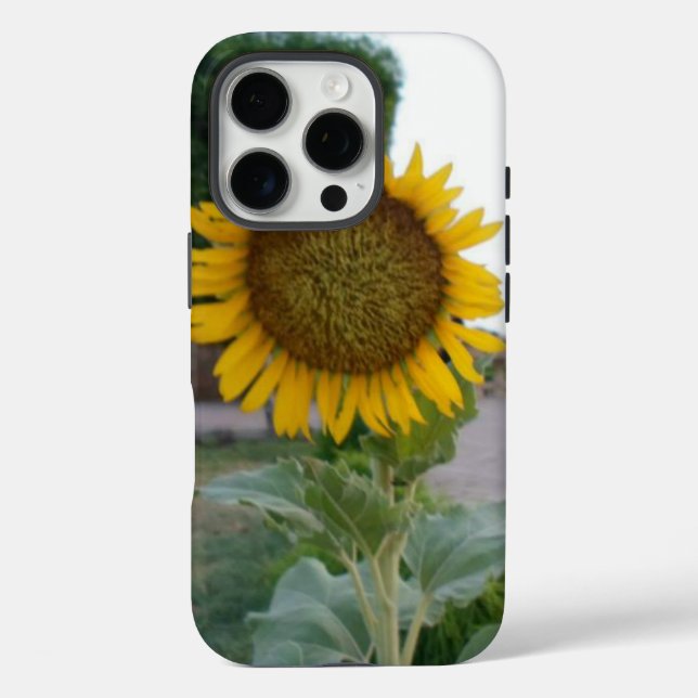 Funda iPhone 16 Pro Impresión de arte de girasol (Reverso )